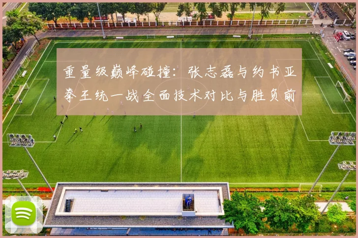 重量级巅峰碰撞：张志磊与约书亚拳王统一战全面技术对比与胜负前瞻