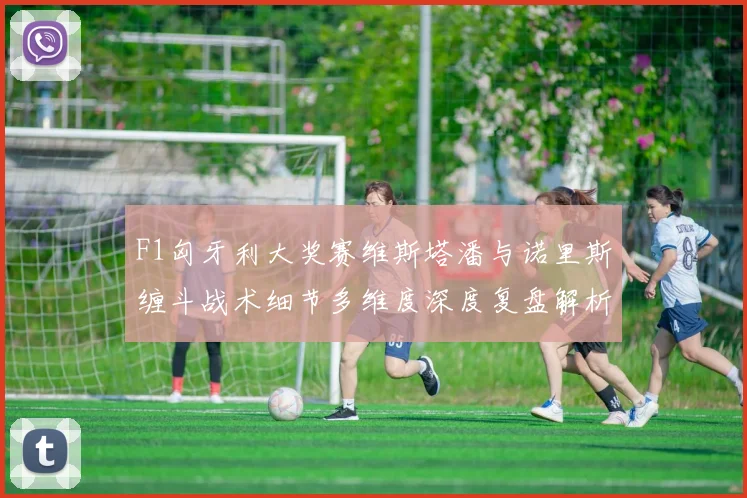 F1匈牙利大奖赛维斯塔潘与诺里斯缠斗战术细节多维度深度复盘解析